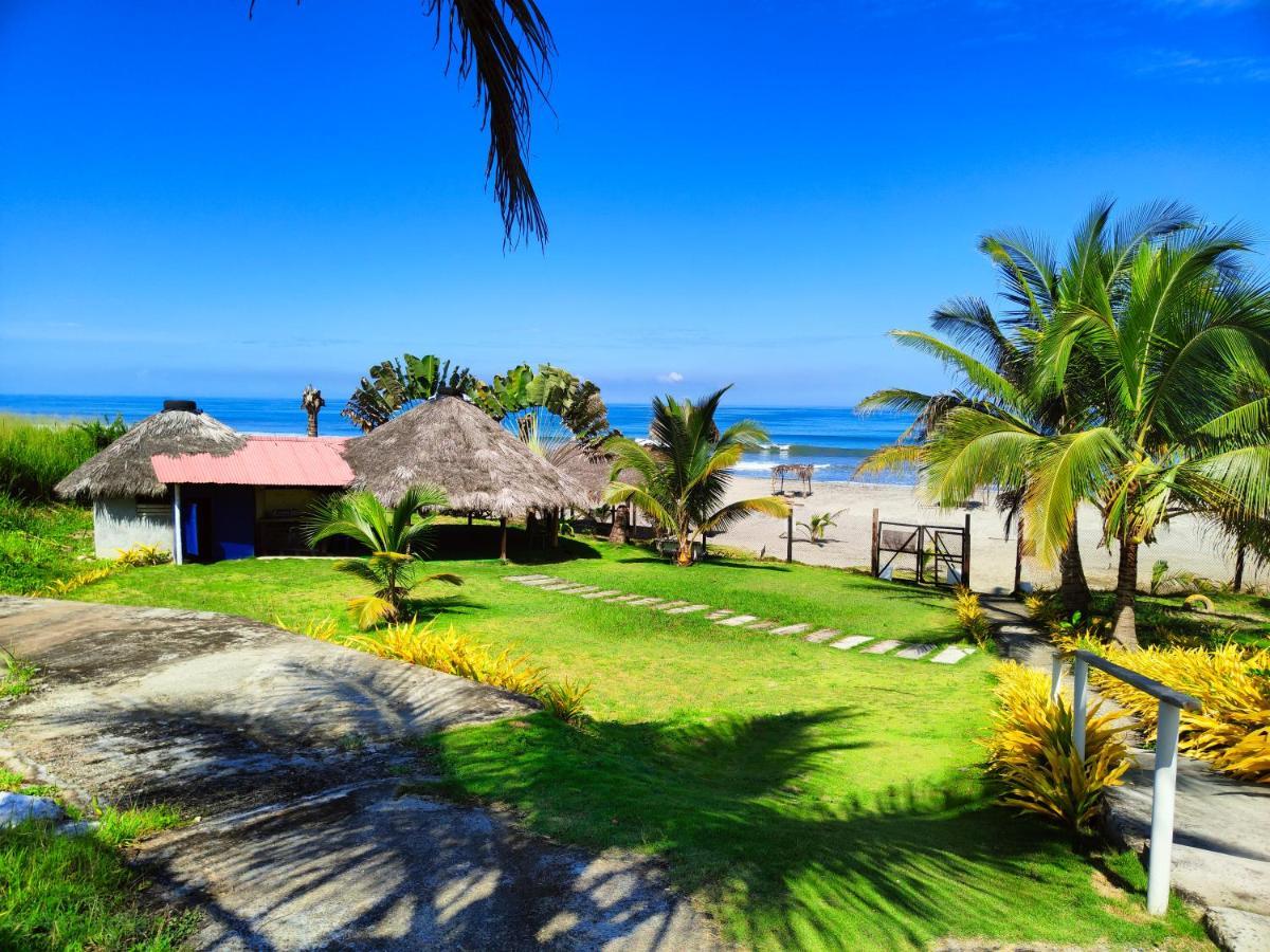 Hotel Punta Azul Pedernales Dış mekan fotoğraf
